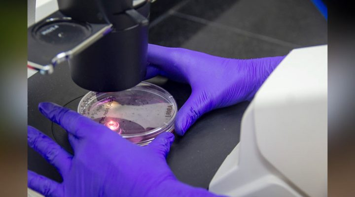 PATENTAN UNA NUEVA MOLECULA PARA CONVATIR EL PARKINSON